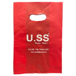 Túi HD quay hột xoài