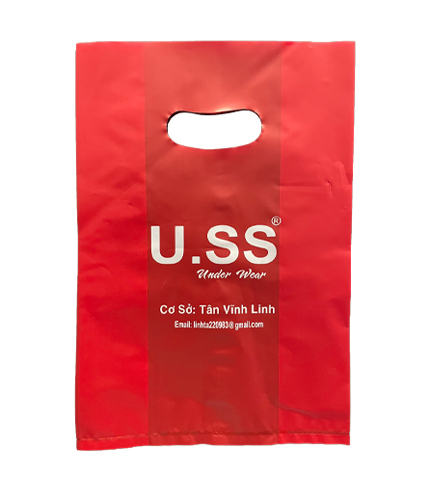 Túi HD quay hột xoài